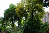 Early October sun shines through the tree canopies at Saint Alkmund's Green, Derby.