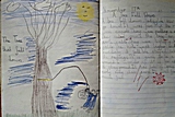 Rosa's story about the tree that was cut down in her playground.