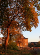 Photo of Saint Alkmund's Town Green autumn trees, Derby